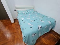 Macpherson Garden Estate (D13), Terrace #613596421